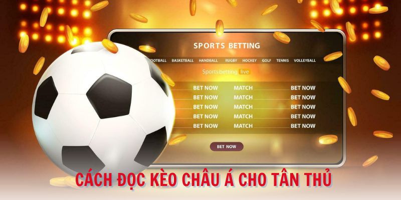 Cách đọc kèo khá đơn giản cho tân thủ