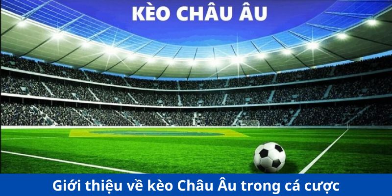 Giới thiệu sơ bộ về kèo Châu Âu trong cá cược